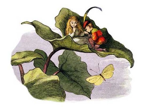fairy proposal