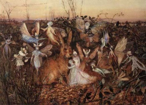 rabbit among the fairies