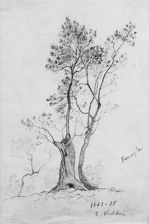 Vedder Elihu Perugia