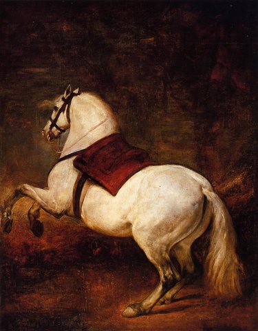 Diego The White Horse