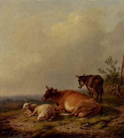 A Cow A Sheep And A Donkey