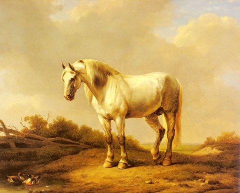 Joseph A White Stallion In A Landscape