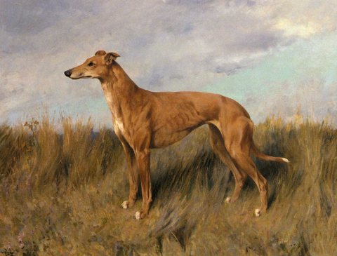 Arthur Henrietta Horn A Greyhound