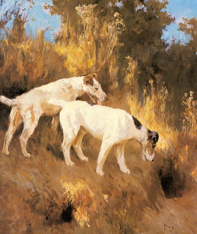 Arthur Terriers On The Scent