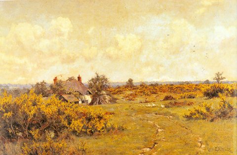 Edward Wilkins A Gaggle Of Geese On A Fram