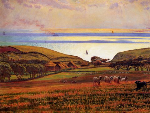 Fairlight Downs Sunlight on the Sea