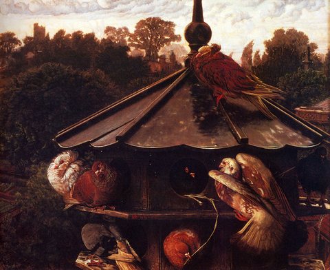 The Festival Of St Swithin Or The Dovecote