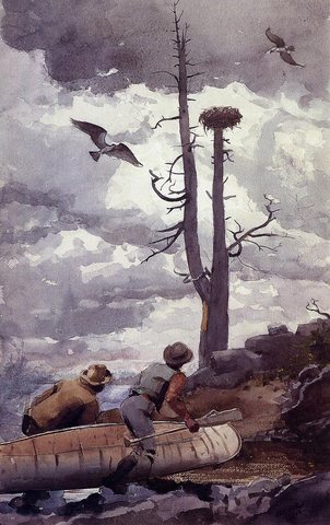 Osprey-s Nest