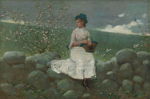 Peach Blossoms