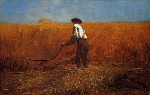 The Veteran in a New Field aka buchet