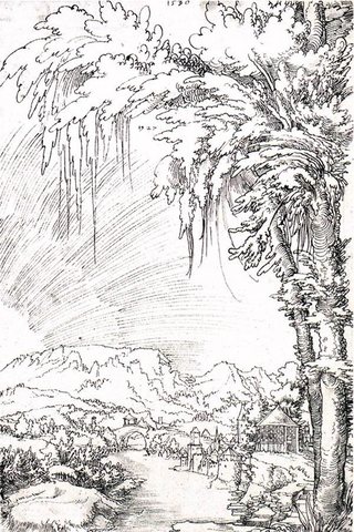Wolf Landscape near Feldkirch