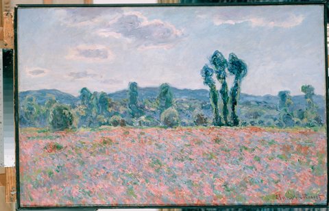 Poppy Field