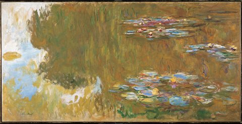 The Water-Lily Pond