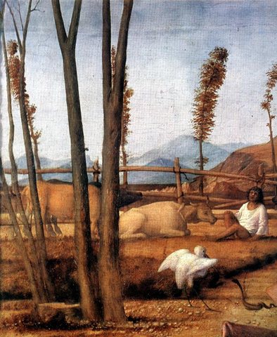 Giovanni Bellini - Madonna of the Meadow (detail) - WGA01756.jpg