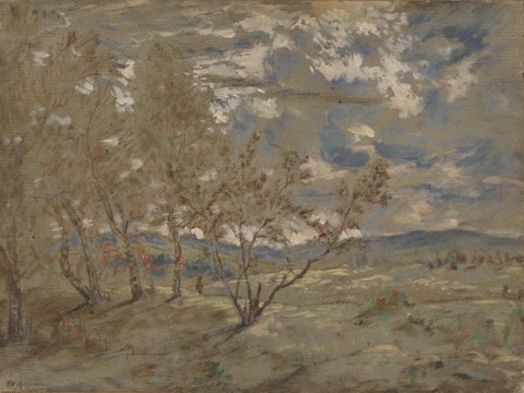 Landscape