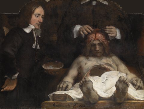 The anatomy lesson of Dr. Joan Deijman