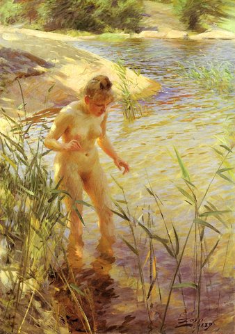 Reflexer Zorn AZorn A