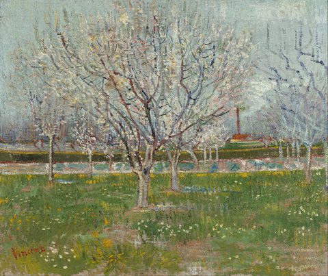 Orchard in Blossom