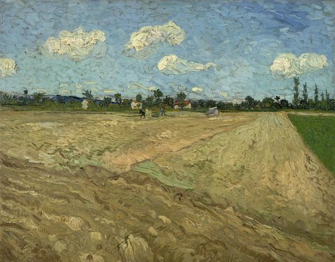 Ploughed fields