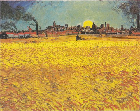 Summer evening in Arles