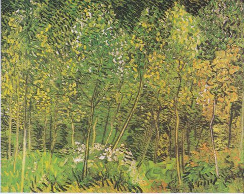 The Grove