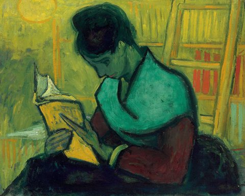 The Novel Reader