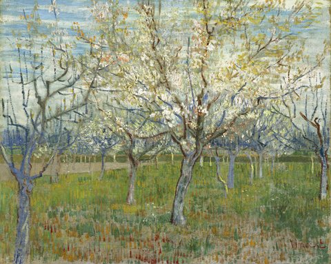 The pink orchard