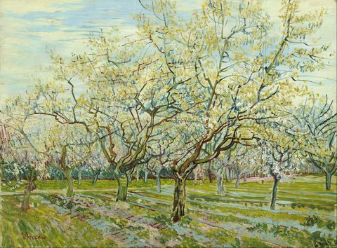 The white orchard