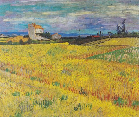 Wheat Field