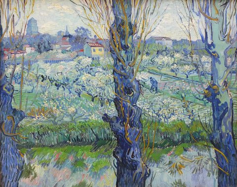 View of Arles, Flowering Orchards