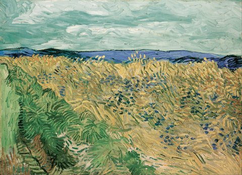 Wheat Field with Cornflowers