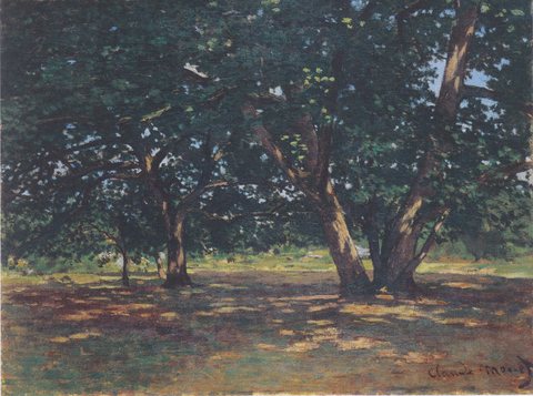 Fontainebleau Forest