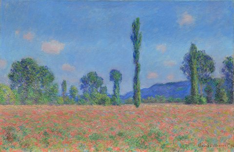 Poppy Field (Giverny)