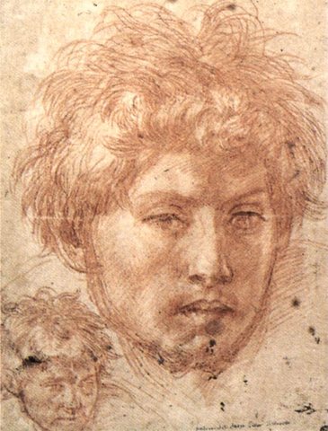Head Of A Young Man ANDREA