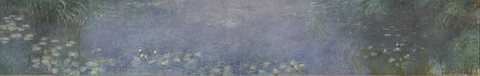 The Water Lilies - Morning