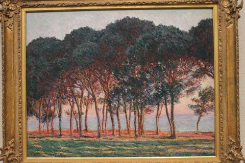 Under the Pines, Evening