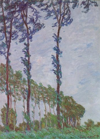 Wind Effect, Row of Poplars