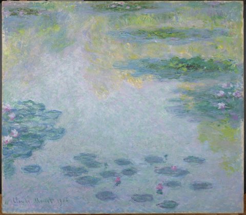 Waterlilies