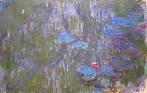 Water Lilies, Reflections of Weeping Willows