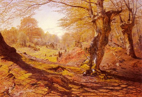 Mac Callum Andrew Seasons In The Wood Spring Mac Cal