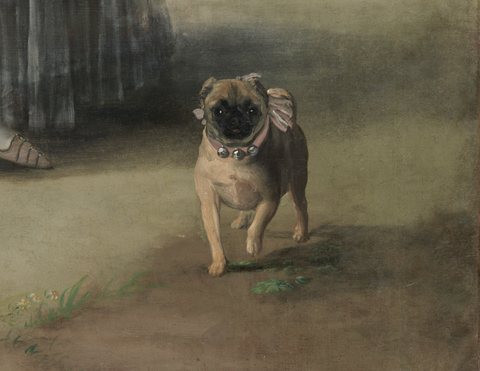 Marchioness of Pontejos por Goya (detail of dog)