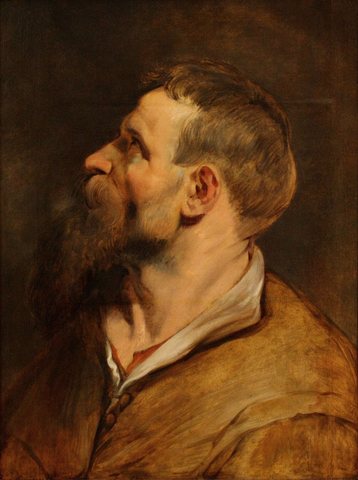 Head of a bearded man looking left