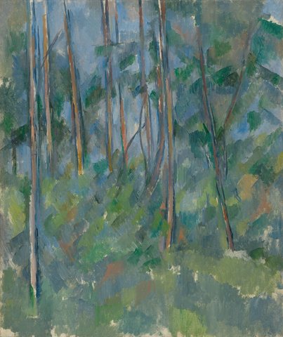 Forest Interior