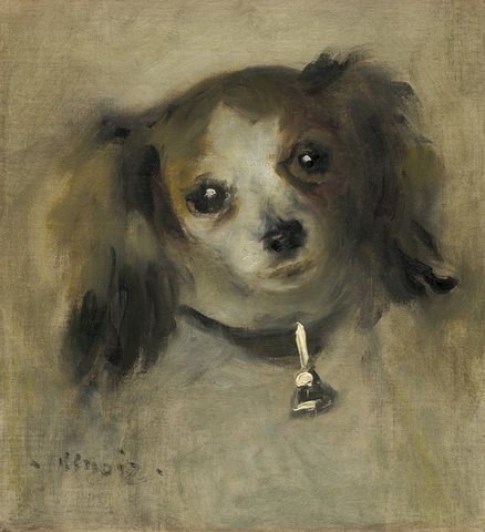 Head of a Dog