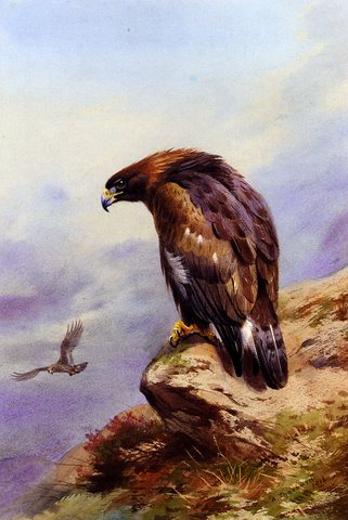 Thornburn Archibald A Golden Eagle