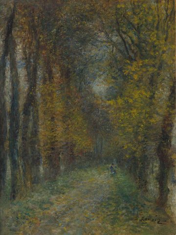 Shaded Path