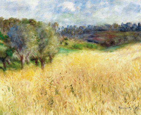 Wheatfield