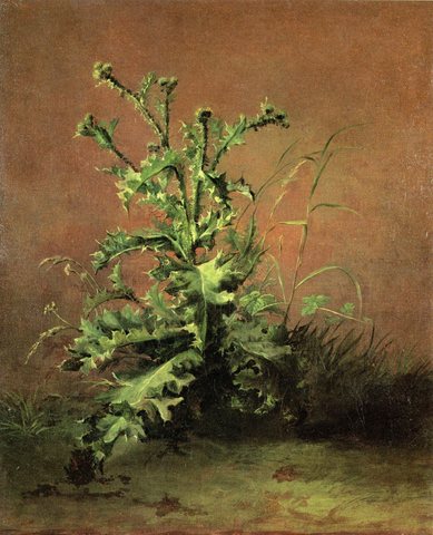 The Thistle