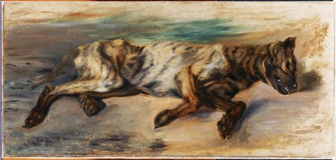 Dead Dog