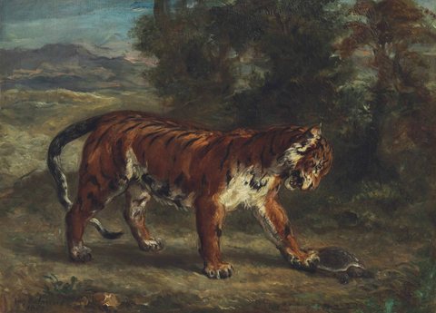 Tiger with a Tortoise